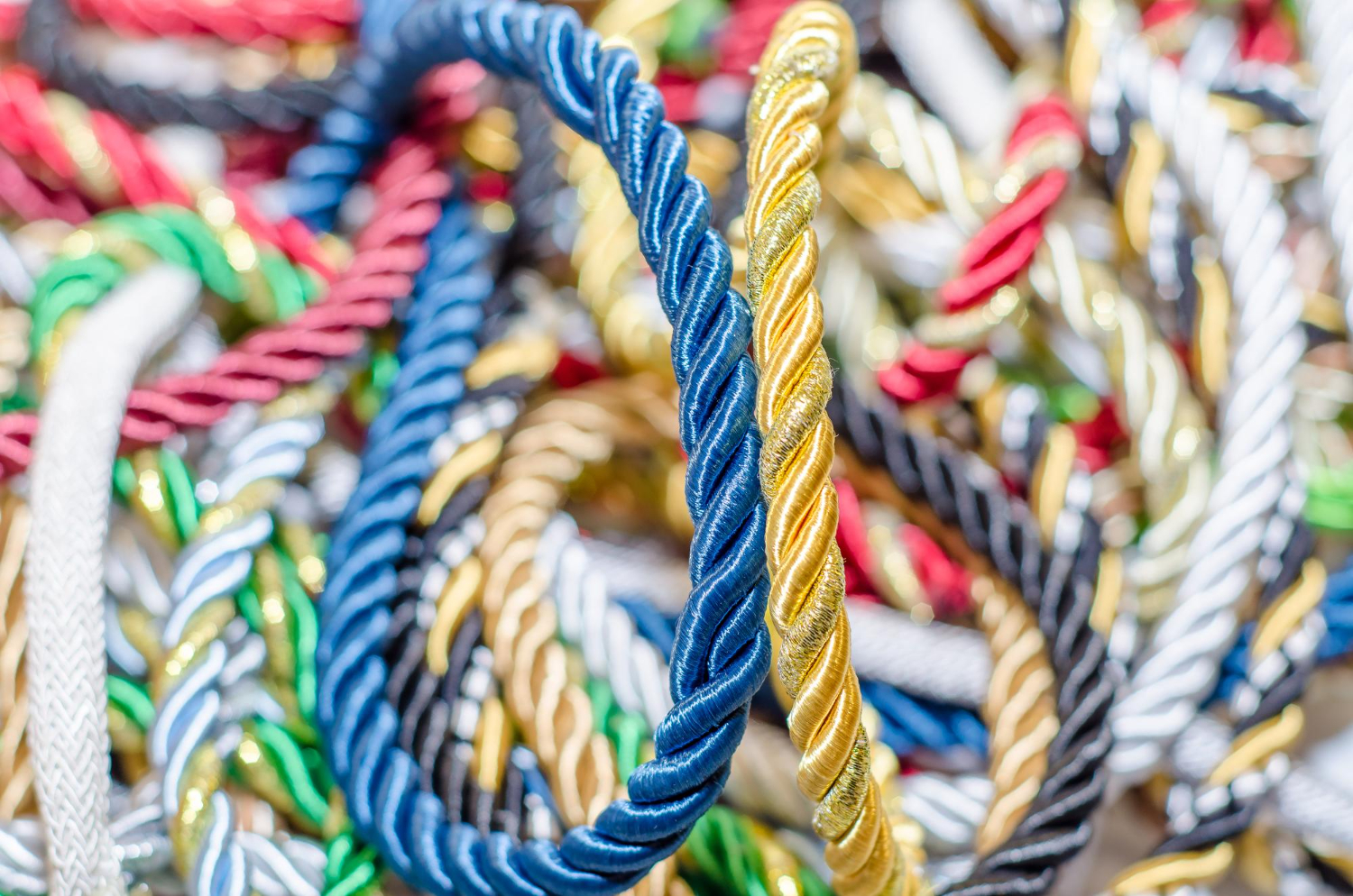 Las cuerdas que marcan tendencia en 2025